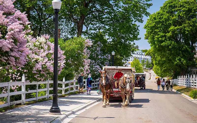 Lilac Festival on Mackinac Isalnd, MI