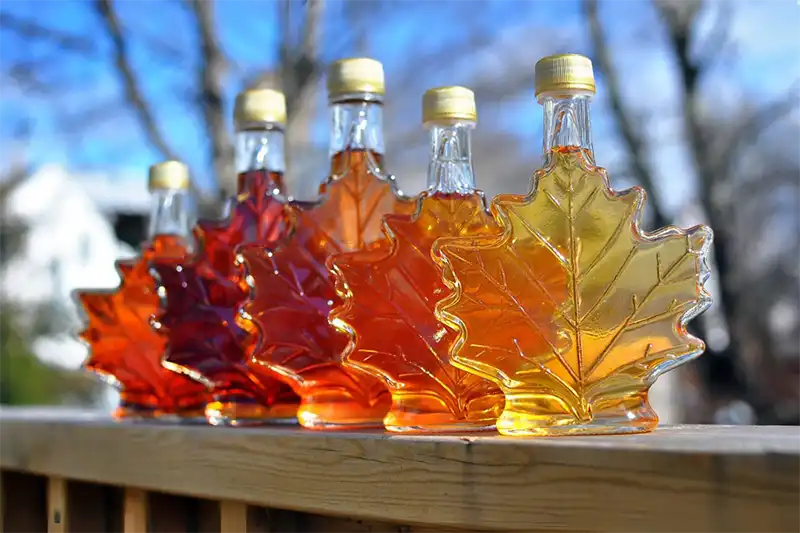 Michigan Maple Syrup